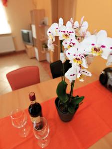a table with a vase of flowers and two wine glasses at Schölzke‘s Ferienhaus in Ralswiek