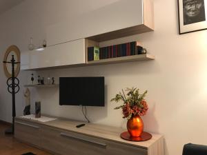 TV a/nebo společenská místnost v ubytování Delizioso appartamento in corte