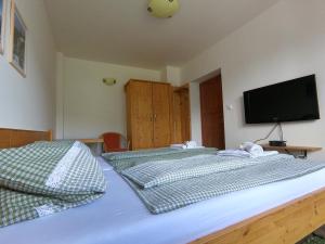 a bedroom with two beds and a flat screen tv at Pension Gemshorn in Hainzenberg