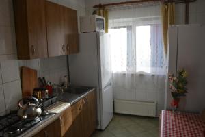 a kitchen with a refrigerator and a sink and a window at Zawojka in Zawoja