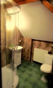 a bathroom with a toilet and a sink and a shower at W Starym Ogrodzie in Wolimierz