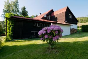 ein Haus mit einem Baum mit lila Blumen im Hof in der Unterkunft Chalupa Otava in Sušice