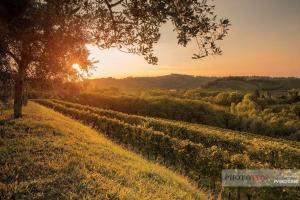 Fotografie z fotogalerie ubytování Easy House v destinaci Cormons