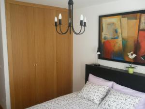 1 dormitorio con 1 cama y armario de madera en Bienvenidos a vuestra casa!, en Sansoáin