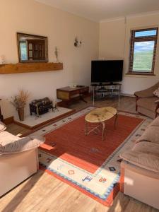 a living room with a flat screen tv and a rug at Penddaulwyn Uchaf Farm # Carmarthenshire in Nantgaredig