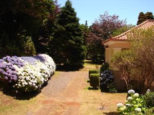 Gallery image of Casa da Lena in Santo António da Serra