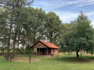 Fotografie z fotogalerie ubytování Ferienhaus am Wäldchen v destinaci Uelsen