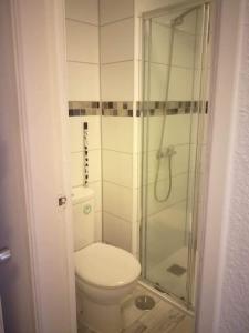 a bathroom with a toilet and a glass shower at castle harbour in Los Cristianos