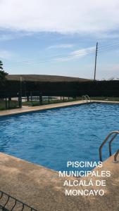 Alcalá de Moncayo的住宿－Casa Rural La Tejada，公园里的一个蓝色海水游泳池