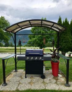 una parrilla bajo una pérgola en un parque en Arrow Lake Motel en Fauquier