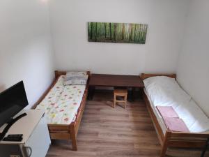 a room with two beds and a desk and a computer at Skruzdėlynas in Nida