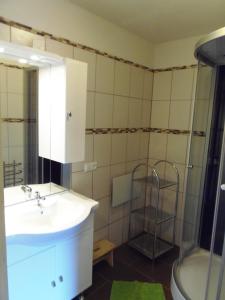 La salle de bains est pourvue d'un lavabo et d'une douche. dans l'établissement Schattaugut, à Eben im Pongau