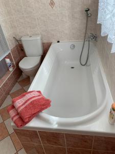 ein Badezimmer mit einer weißen Badewanne und einem WC in der Unterkunft Vila Linda in Luhačovice