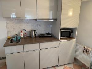 eine kleine Küche mit weißen Schränken und einer Mikrowelle in der Unterkunft Vila Linda in Luhačovice