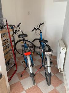 Jazda na bicykli v okolí ubytovania Vila Linda