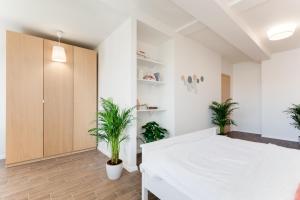 Fotografie z fotogalerie ubytování Garden apartment in the center - Leg12 v Praze