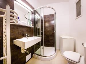 プラハにあるMichal&Michael’s Central Apartmentsのバスルーム(シャワー、洗面台、トイレ付)