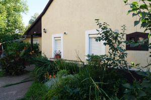 una casa con dos ventanas y plantas delante de ella en Piri Vendégház, en Hajdúböszörmény