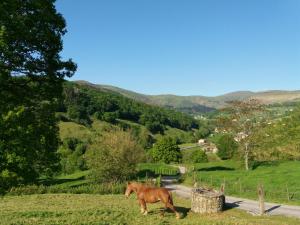 un caballo caminando por el césped en un campo en La Cabaña del Abuelo de Selaya, en Selaya