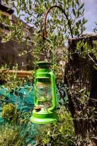 a green bird feeder hanging from a tree at Casa Federico in Tremosine Sul Garda
