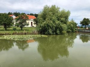 Výhled na řeku, která protéká v blízkosti hotelu