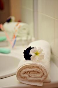 Una toalla con una flor encima del lavabo del baño en VVF Drôme Provence, en Montbrun-les-Bains