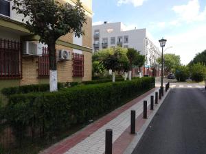 セビリアにあるSevilla Solの木々や茂みや建物がある空っぽの通り