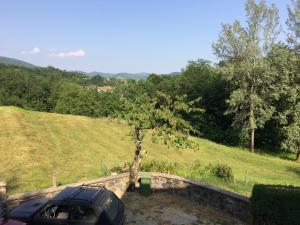 a car parked next to a tree in a field at B&B da Paola in Bardalone