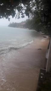 a view of a beach with the ocean at Jungle Hut Bungalows & Hotel in Haad Chao Phao