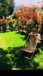 un banc en bois assis dans l'herbe dans une cour dans l'établissement A FATA DI L'ORTOLO gîtes à la ferme, à Sartène