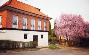 une maison avec un arbre à fleurs devant elle dans l'établissement Antalóczy Winery&Apartments, à Tokaj