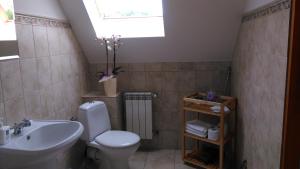 een badkamer met een wit toilet en een wastafel bij Agroturystyka Józefówka Tyrawa Solna in Mrzygłód
