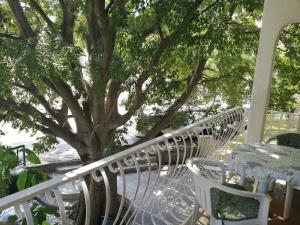 weranda z białymi stołami i krzesłami oraz drzewem w obiekcie Apartmani Roko w Drveniku