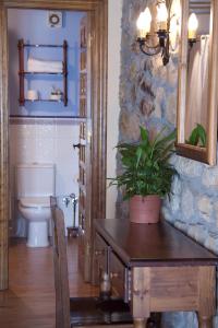 a bathroom with a table with a plant on it at Posada La Colodra in Los Tojos