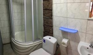a bathroom with a shower and a toilet and a sink at Садиба «Під ліском» in Pulʼmo +70 photos