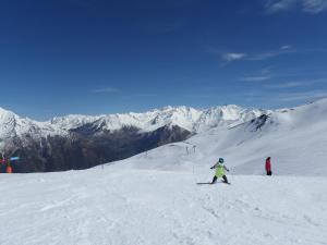 Катание на лыжах на территории апартаментов/квартиры или поблизости