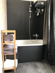 a bathroom with a shower and a bath tub at Luna Estela in Bayreuth