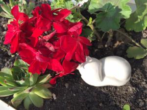 un grupo de flores rojas y un objeto blanco en Villa Elysium, en Gyenesdiás