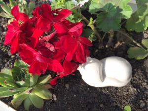 a group of red flowers and a white object at Villa Elysium in Gyenesdiás