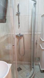 a shower in a bathroom with a glass door at Apartman Jasovic in Risan