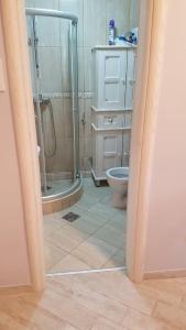 a bathroom with a shower and a toilet at Apartman Jasovic in Risan
