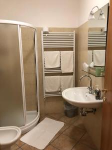 een badkamer met een douche en een wastafel bij Garnì Marika in Gargnano