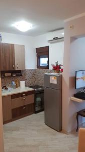 a kitchen with a sink and a refrigerator in it at Apartman Jasovic in Risan