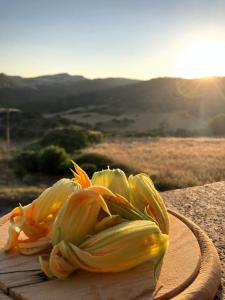 Imagen de la galería de Agriturismo Sa Tanca Noa, en Tergu