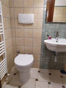 a bathroom with a toilet and a sink at Casetta degli Etruschi ALLOGGIO TURISTICO in Allumiere