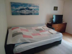sypialnia z łóżkiem i telewizorem w obiekcie Peaceful Farm w mieście Bøstad