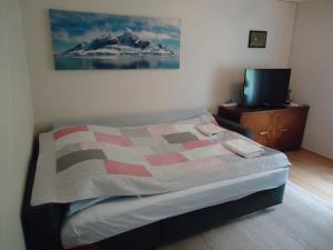 a bedroom with a bed and a television in it at Peaceful Farm in Bøstad