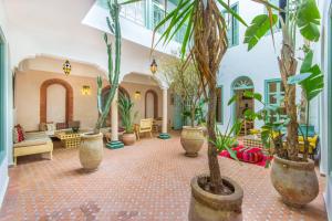 a lobby with a bunch of plants in pots at Riad Helen in Marrakech