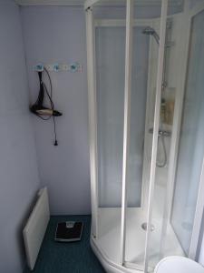 a bathroom with a shower and a toilet at Peaceful Farm in Bøstad +15 photos