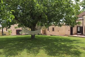 a tree in the middle of a green yard at Tenuta Aguglia in Noto